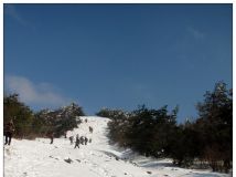 2月15日（周六）临海大雷山观雪景看雾松活动