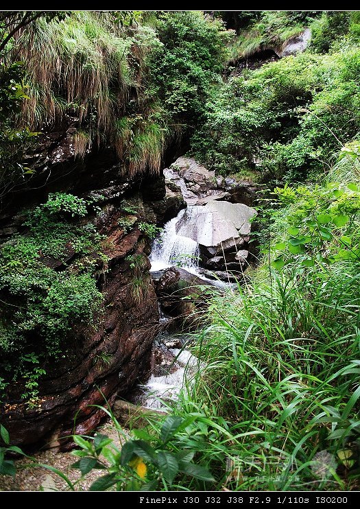 DSCF8901我把登山杖留在了这个风景如画，幽静无限，人迹罕至的小峡谷里_nEO_IMG.jpg